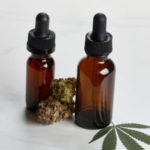 Everything You Should Know About CBD Oil