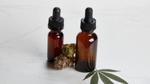 Everything You Should Know About CBD Oil