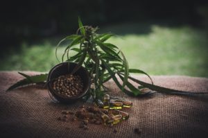 What Is CBD Oil?