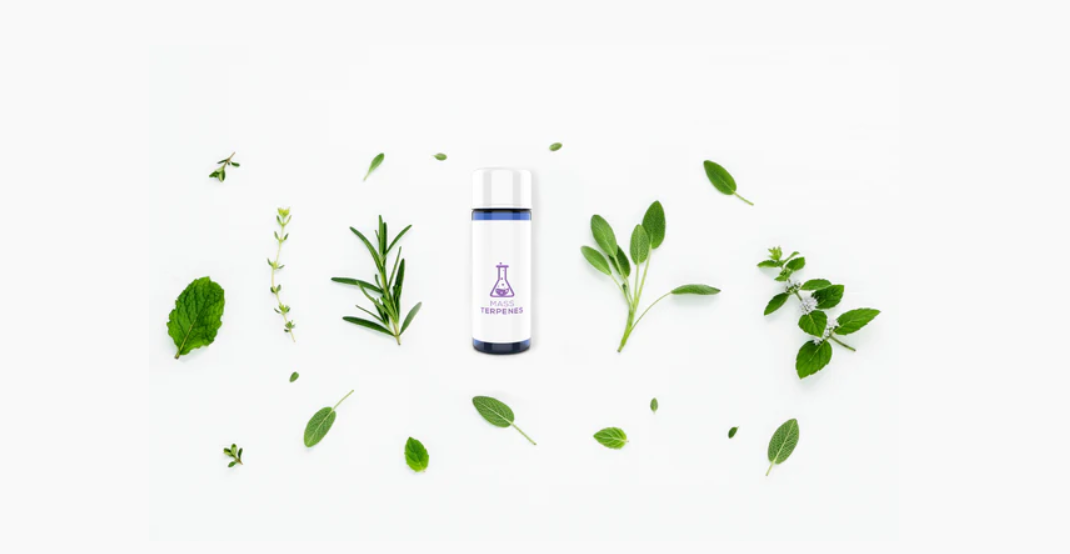 Top Terpenes for Sale in 2025: What’s Trending in the Market?